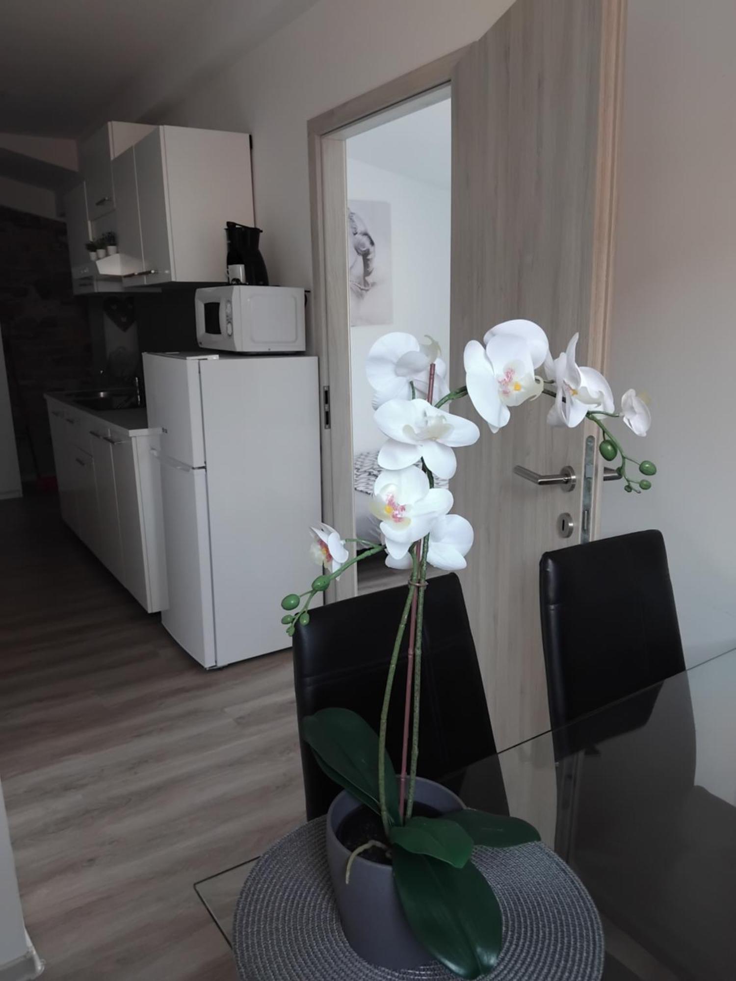Apartmaja Eva&Pia โคเปร์ ภายนอก รูปภาพ